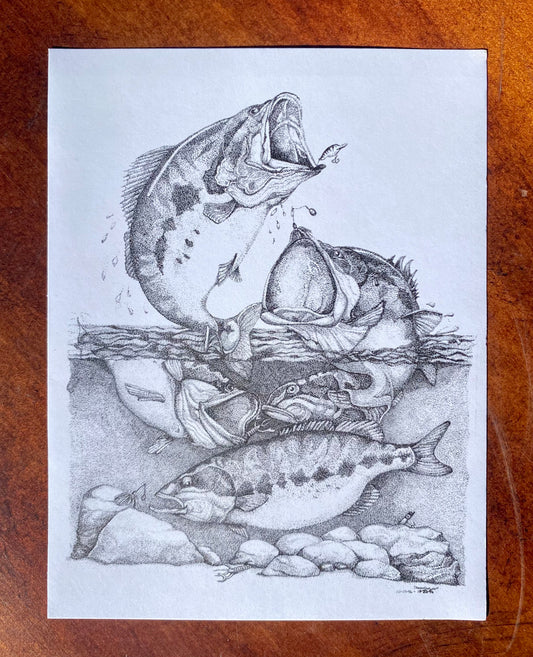 Stippled Fish Drawing