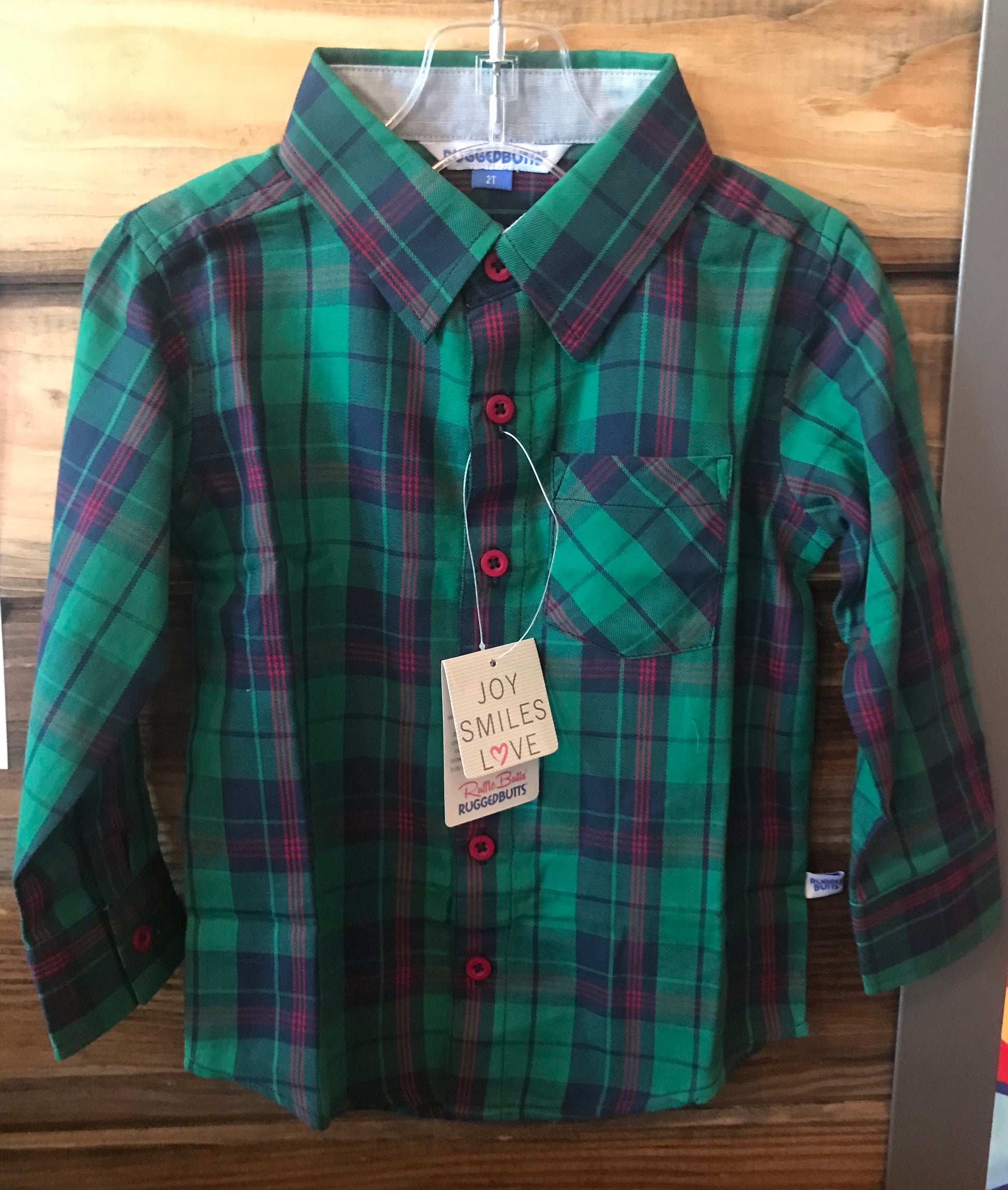 Green Plaid Button Down - The Desert Paintbrush